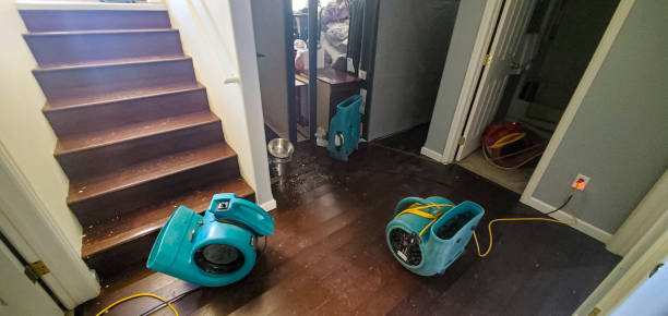 Best Water damage restoration specialists  in Oak Grove, AL