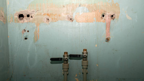 Best Emergency water damage restoration  in Oak Grove, AL