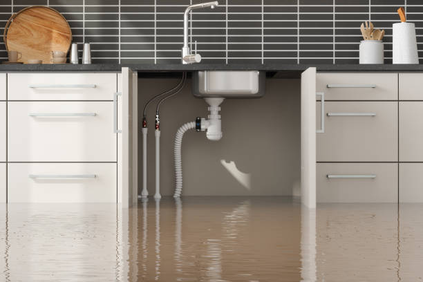 Best Commercial water damage restoration  in Oak Grove, AL